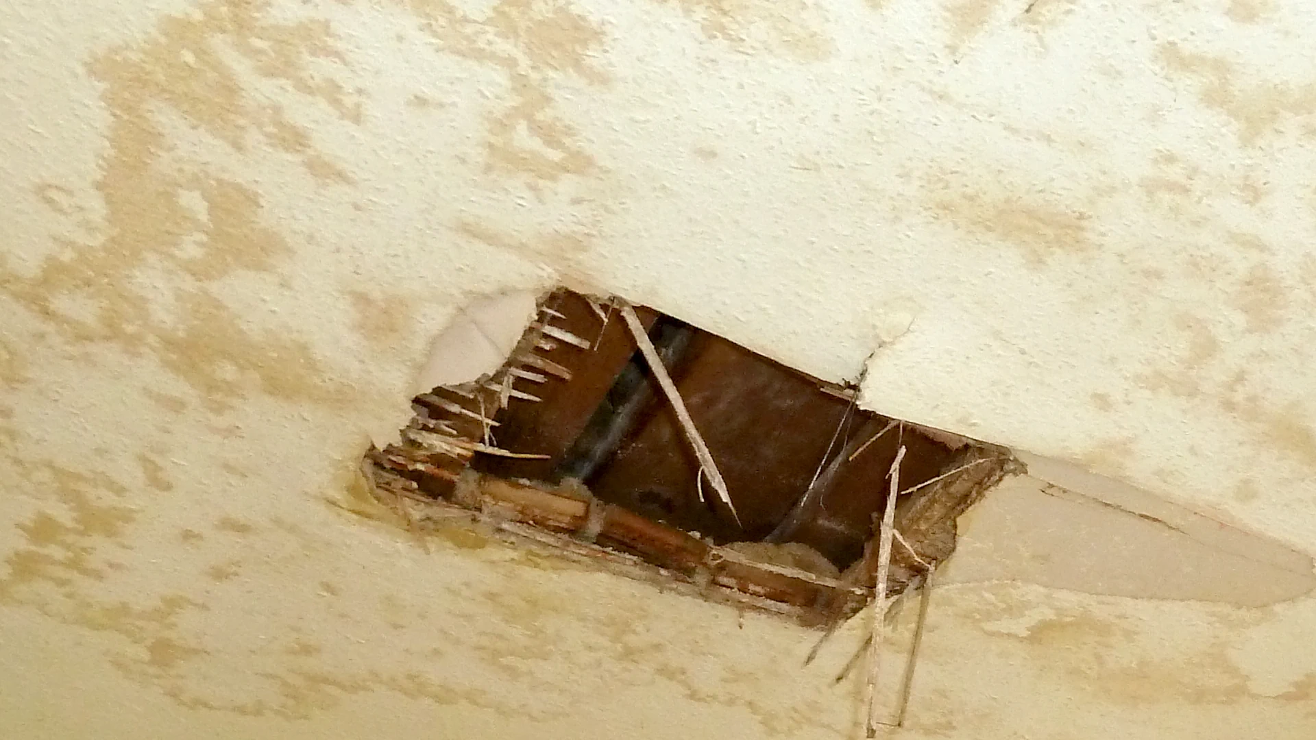 Sanierung einer Deckenfläche nach Rohrbruch in einer Altbau-Villa im Kreis Ostholstein.